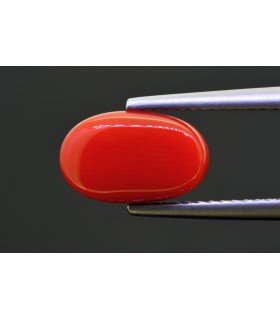 3.16 cts Natural Coral - Moonga (SKU:90159305)