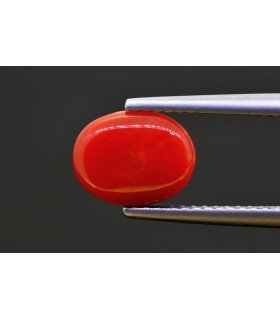 3.02 cts Natural Coral - Moonga (SKU:90159312)