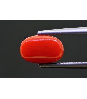 3.40 cts Natural Coral - Moonga (SKU:90159329)