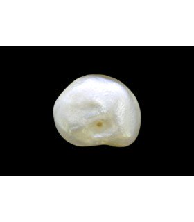 3.13 cts Natural Pearl - Moti (SKU:90160240)