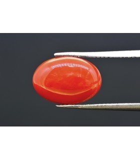 4.28 cts Natural Coral (Moonga)