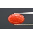 6.15 cts Natural Coral (Moonga)