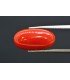 7.08 cts Natural Coral (Moonga)