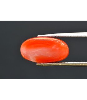 5.59 cts Natural Coral - Moonga (SKU:90160301)