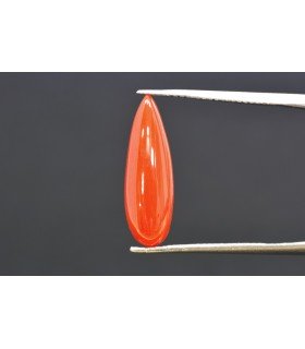 3.57 cts Natural Coral (Moonga)