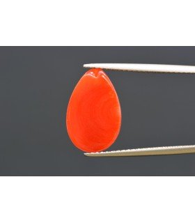 5.46 cts Natural Coral - Moonga (SKU:90160332)