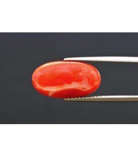 7.08 cts Natural Coral - Moonga (SKU:90160370)