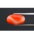 6.01 cts Natural Coral - Moonga (SKU:90160387)