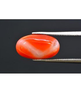 6.01 cts Natural Coral - Moonga (SKU:90160387)