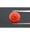 4.25 cts Natural Coral (Moonga)