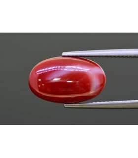 8.98 cts Natural Coral - Moonga (SKU:90160851)