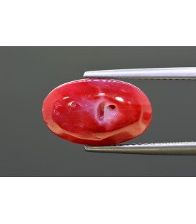 6.95 cts Natural Coral - Moonga (SKU:90160868)