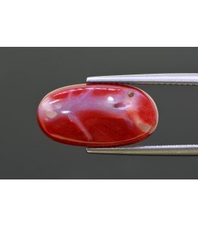 8.97 cts Natural Coral - Moonga (SKU:90160875)