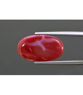 9.94 cts Natural Coral - Moonga (SKU:90160936)