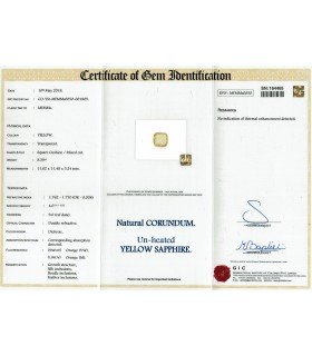 8.39 cts Unheated Natural Yellow Sapphire - Pukhraj (SKU:90069598)