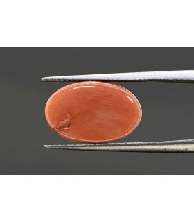 7.67 cts Natural Coral - Moonga (SKU:90081408)