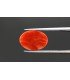 4.91 cts Natural Coral - Moonga (SKU:90081507)